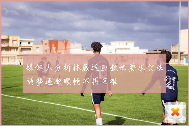 媒体人分析林葳适应教练要求打法调整逐渐顺畅不再困难