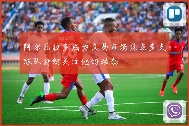 阿尔瓦拉多成为交易市场焦点多支球队持续关注他的动态
