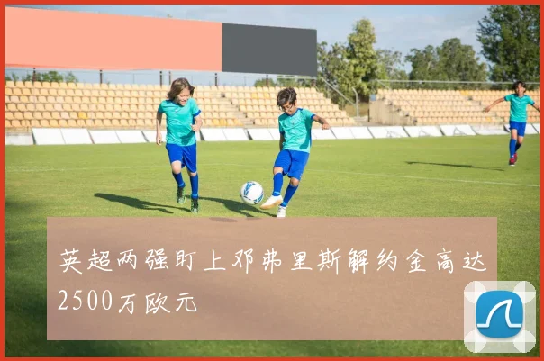 英超两强盯上邓弗里斯解约金高达2500万欧元
