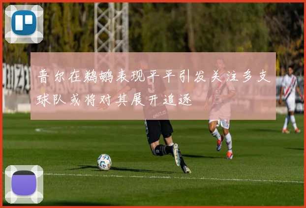 普尔在鹈鹕表现平平引发关注多支球队或将对其展开追逐