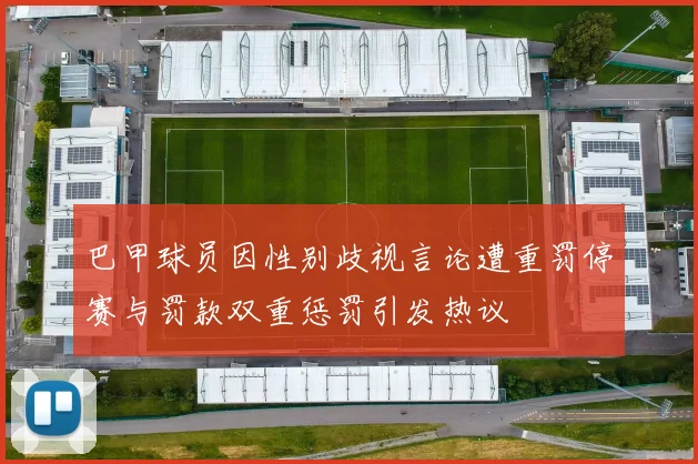 巴甲球员因性别歧视言论遭重罚停赛与罚款双重惩罚引发热议